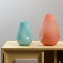 Press Pit Hydroponic Glass Vase