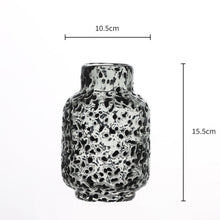 Black Spot Hydroponic Glass Vase