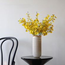 Halo Column/Decorfur