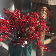 Wattle Seeds/Decorfur
