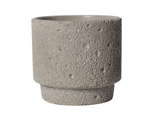 Botanic Frost Holder/Decorfur