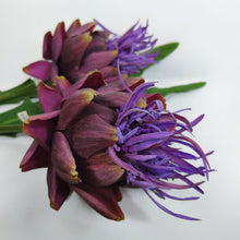 Tropique Royale/Decorfur