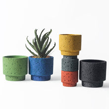 Botanic Frost Holder/Decorfur