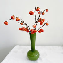 Huanggua Blossom/Decorfur