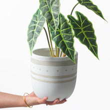 Matte Nordic Plant Pots/Decorfur