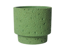 Botanic Frost Holder/Decorfur