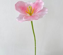 Spring Chalices/Decorfur