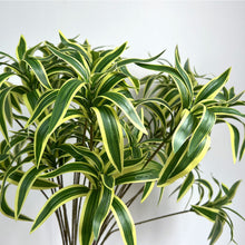 LeafLoom/Decorfur