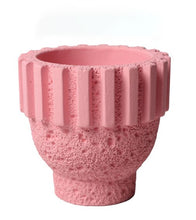 Neutral Tone Cement Pots/Decorfur
