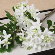 May Flower/Decorfur