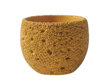 Earthen Orbit Pot/Decorfur