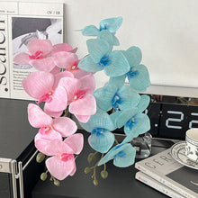 Butterfly Orchid /Decorfur