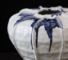 Bloom Haven Vase/Decorfur