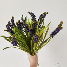 Hush Hyacinth/Decorfur