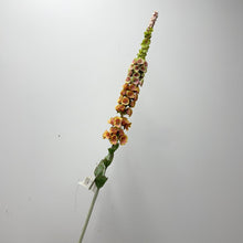 Plume & Stem/Decorfur