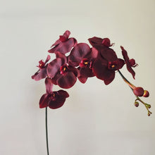 Opal Orchid Whimsy/Decorfur