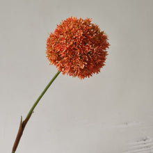 Planet Flora/Decorfur