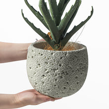 Earthen Orbit Pot/Decorfur