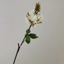 Seaflora Grace/Decorfur
