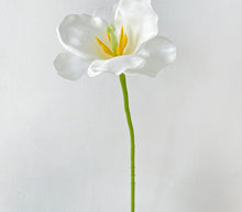 Spring Chalices/Decorfur