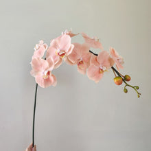 Opal Orchid Whimsy/Decorfur