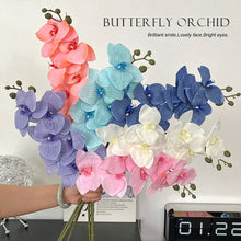 Butterfly Orchid /Decorfur