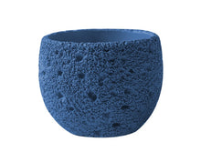 Earthen Orbit Pot/Decorfur