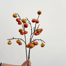 Huanggua Blossom/Decorfur
