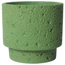Botanic Frost Holder/Decorfur