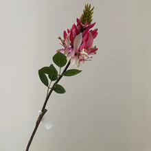 Seaflora Grace/Decorfur