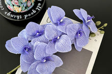 Butterfly Orchid /Decorfur