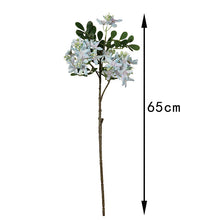 May Flower/Decorfur