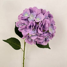Petal Pomps/Decorfur