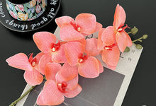 Butterfly Orchid /Decorfur