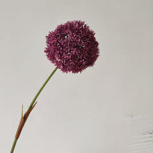 Planet Flora/Decorfur