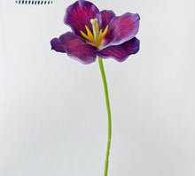 Spring Chalices/Decorfur