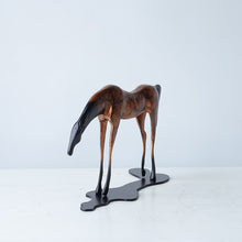 Modern Dynasty Horse/Decorfur