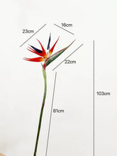 Bird of Paradise/Decorfur