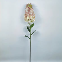 Floral Pinnacle/Decorfur