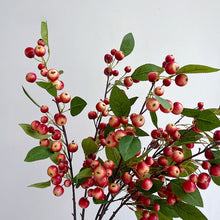 Berry Yuletide/Decorfur