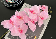 Butterfly Orchid /Decorfur