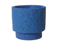Botanic Frost Holder/Decorfur
