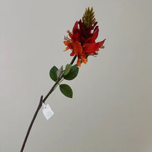 Seaflora Grace/Decorfur