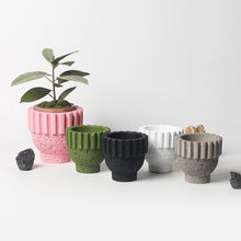 Neutral Tone Cement Pots/Decorfur