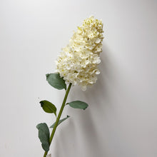 Floral Pinnacle/Decorfur