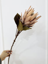Crown Petal/Decorfur