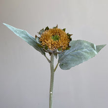 Amber Harvest/Decorfur