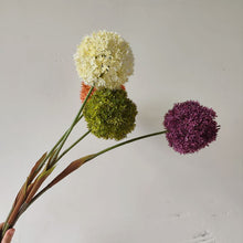 Planet Flora/Decorfur