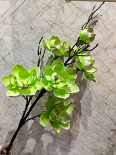 Yulan Flowers/ Decorfur