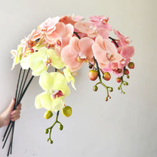 Opal Orchid Whimsy/Decorfur